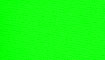 neongrn title=