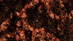 braun-terra title=